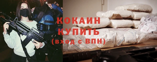 соль ск Алзамай