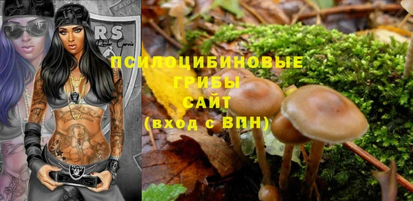 ПСИЛОЦИБИНОВЫЕ ГРИБЫ Алексин