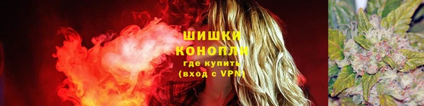 ПСИЛОЦИБИНОВЫЕ ГРИБЫ Алексин