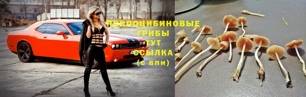 марихуана Майский
