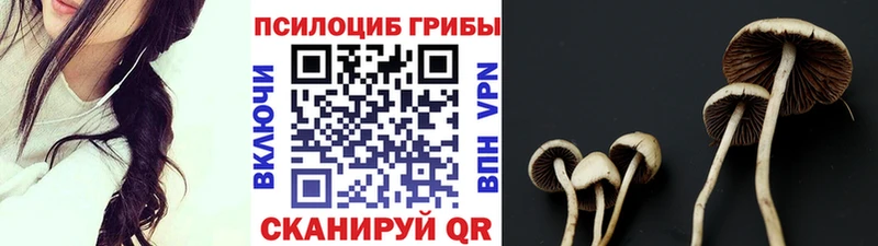 как найти   Набережные Челны  Галлюциногенные грибы прущие грибы 